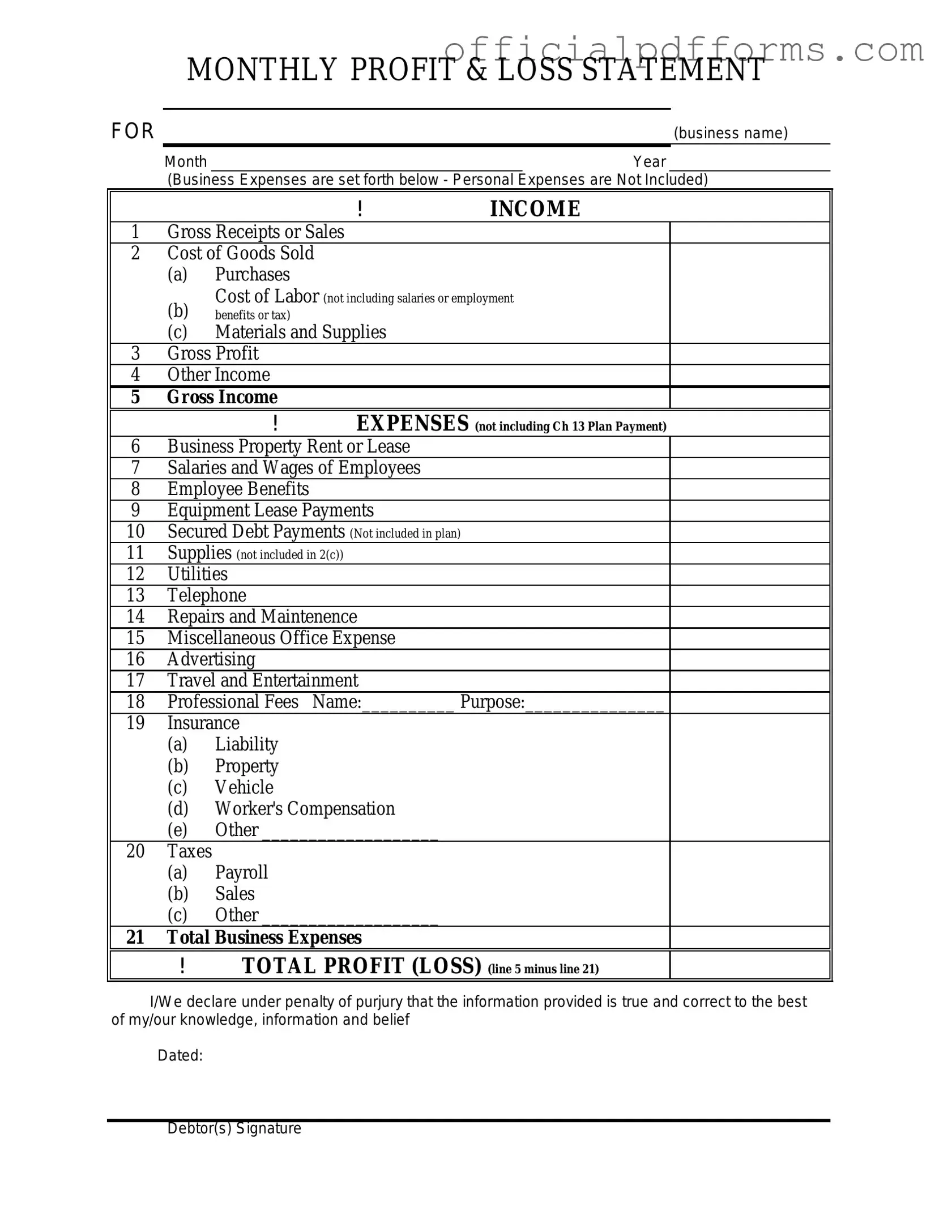 Fill in a Valid Profit And Loss Form