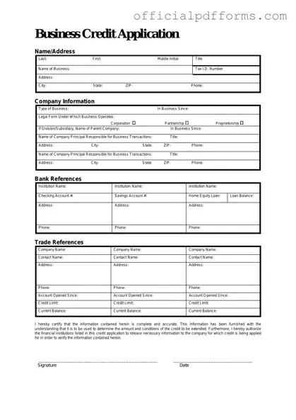 Fill in a Valid Business Credit Application Form