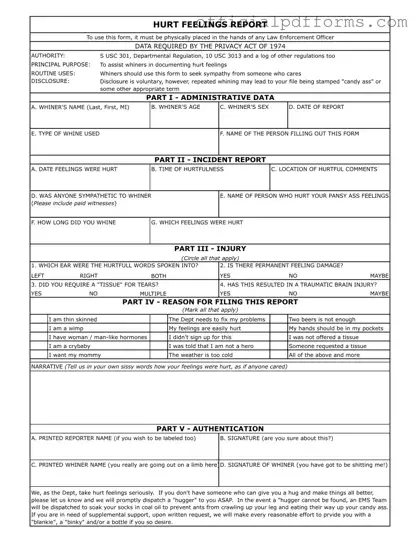 Fill in a Valid Hurt Feelings Report Form