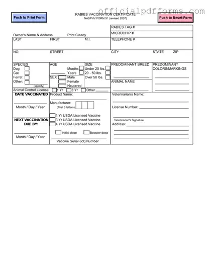 Fill in a Valid Rabies Certificate Form